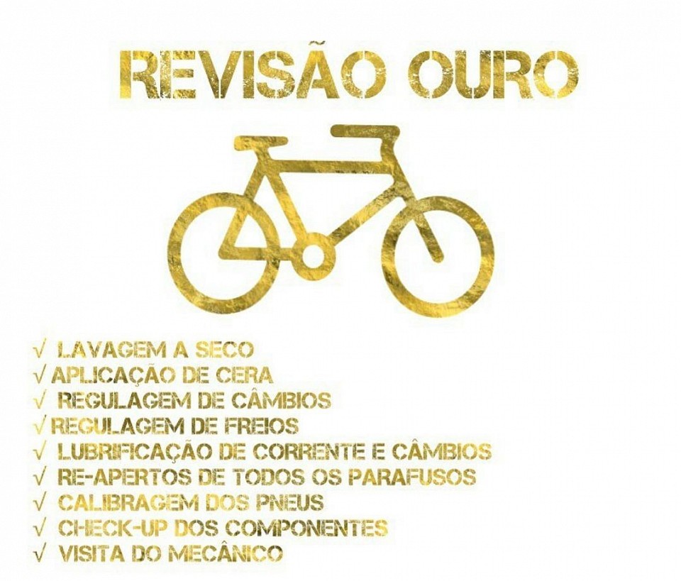 REVISÃO OURO R$277