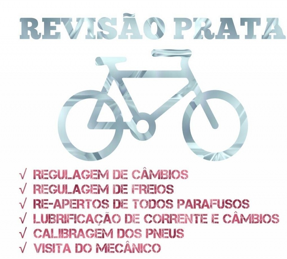 REVISÃO PRATA R$250